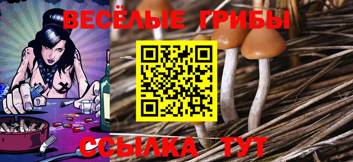 Осинники  Галлюциногенные грибы Psilocybine cubensis  Галлюциногенные грибы Magic Shrooms  Вход с VPN 