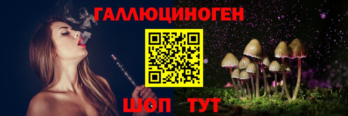 Псилоцибиновые грибы MAGIC MUSHROOMS Осинники
